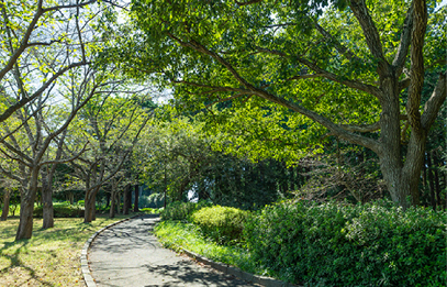 加良部台公園