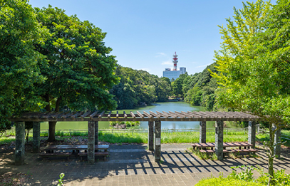 赤坂公園