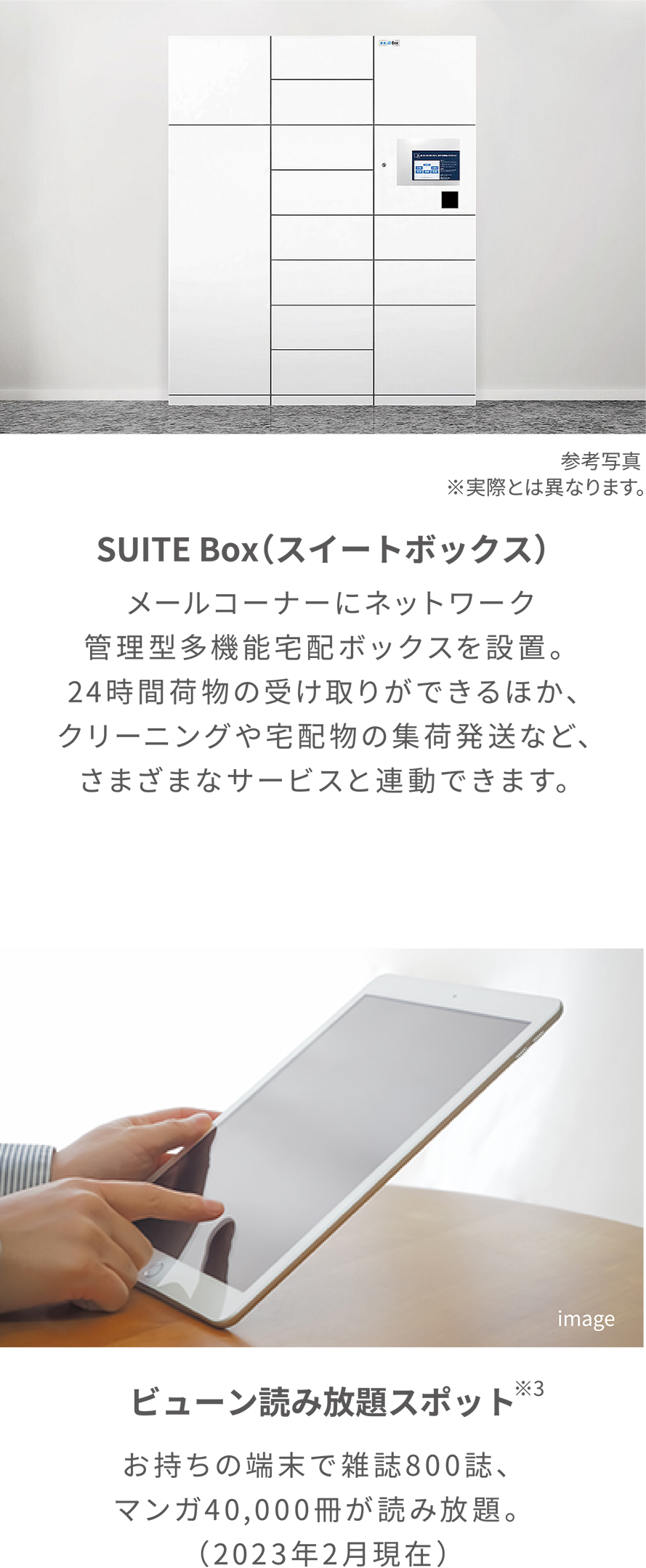 Suit box