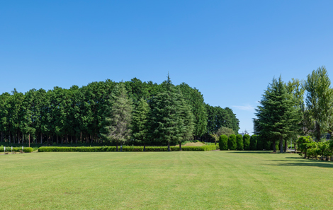 加良部台公園