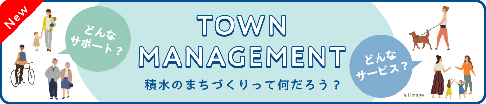 TOWN MANAGEMENT