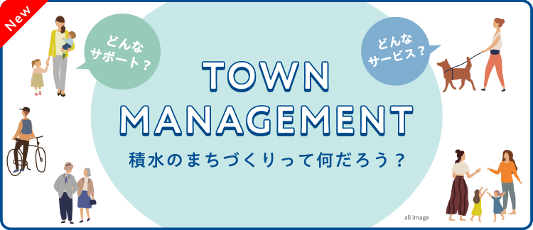 TOWN MANAGEMENT