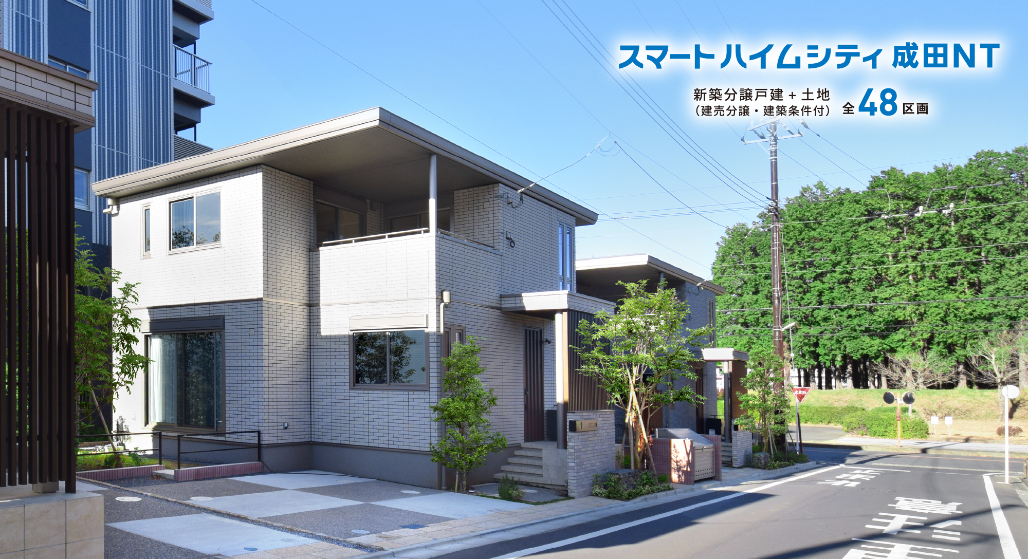 image illust