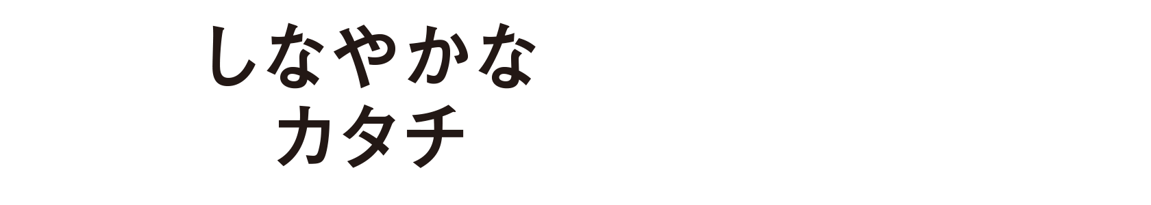 しなやかなカタチSuite