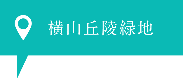 横山丘陵緑地