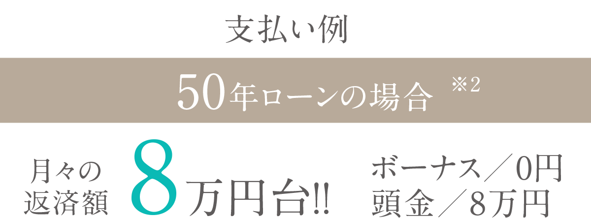 支払い例