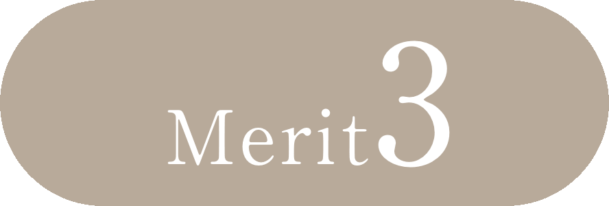 Merit3