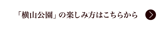 「横山公園」の楽しみ方はこちらから