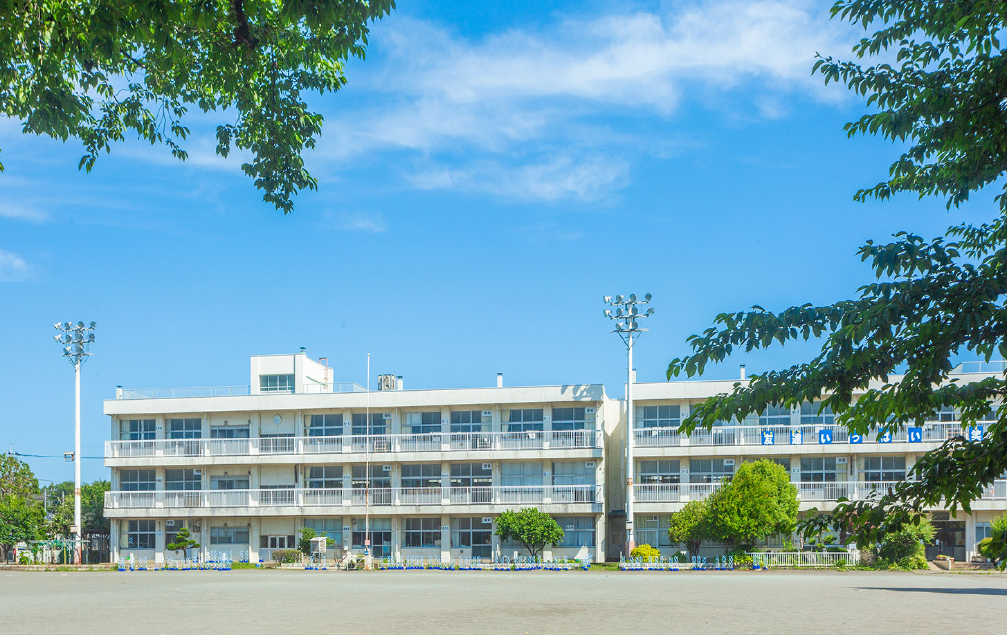 横山小学校［通学区］