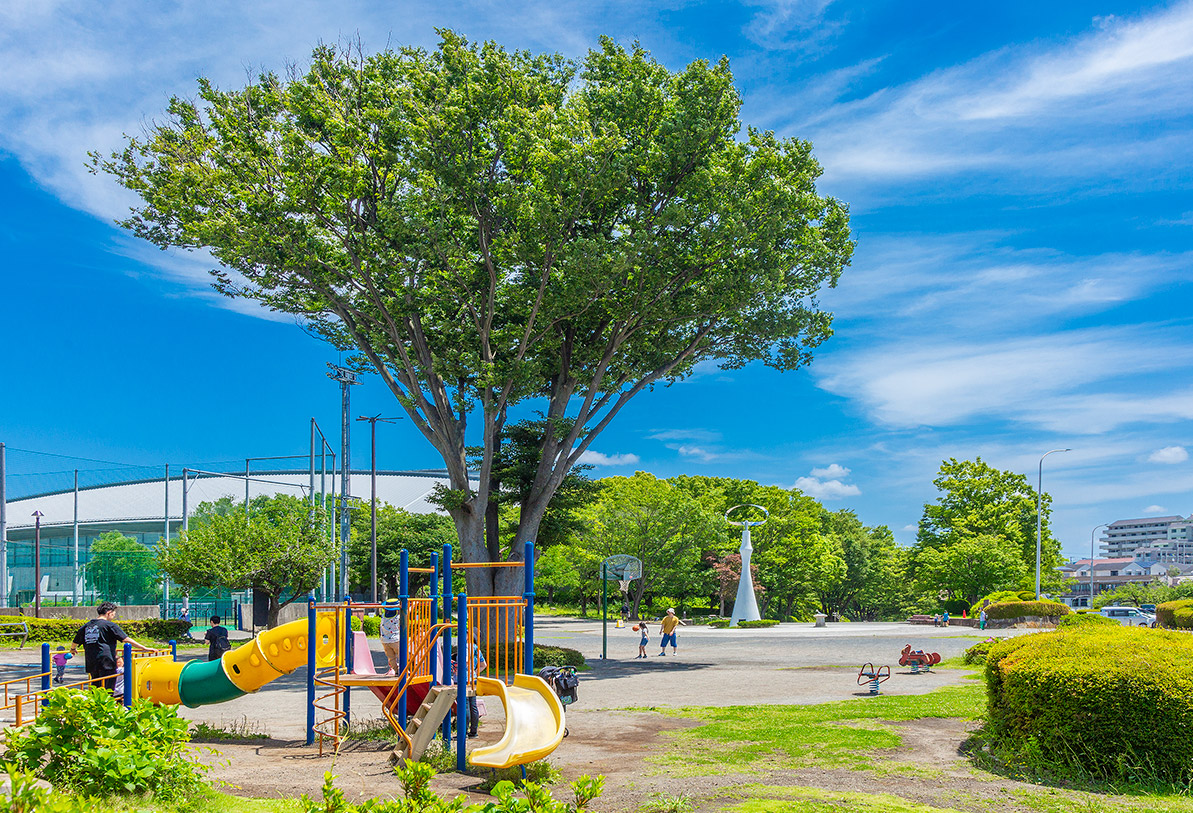 横山公園