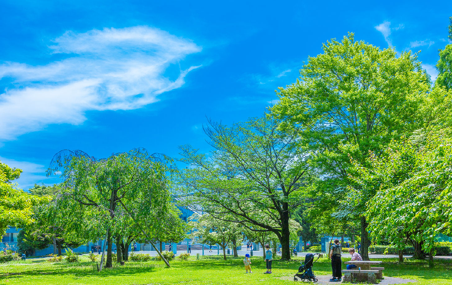 横山公園