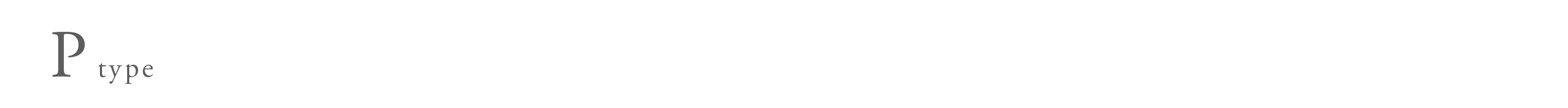 P-type｜2LDK+2WIC 専有面積61.72㎡（約18.67坪）