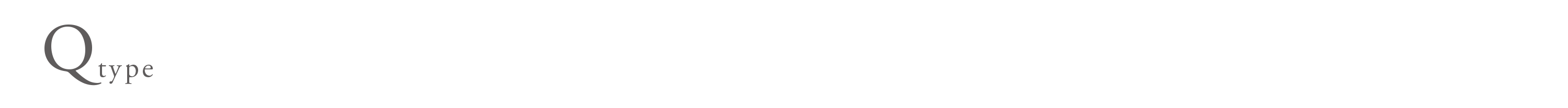 Q-type｜2LDK+2WIC 専有面積61.72㎡（約18.67坪）