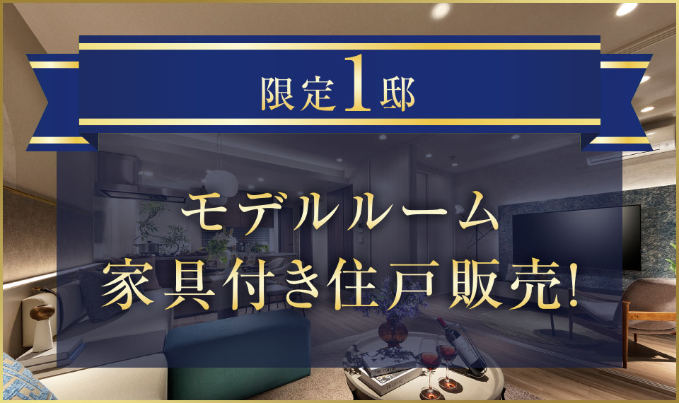 〈限定1邸〉モデルルーム家具付き住戸販売！