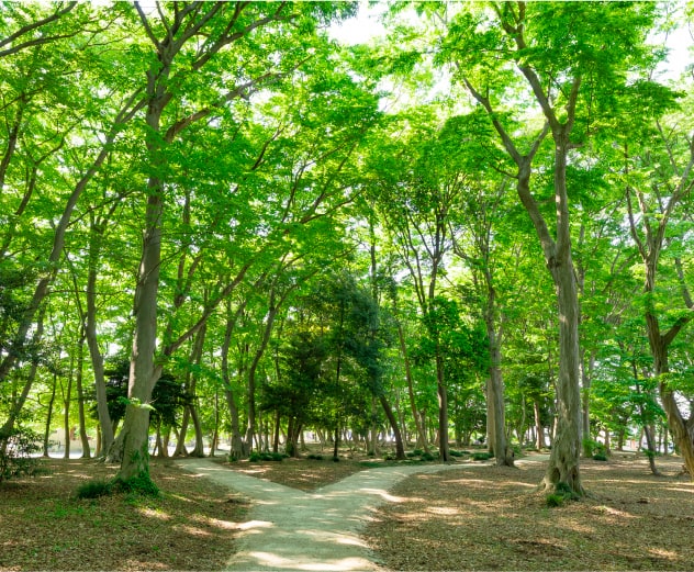中野久木散策の森