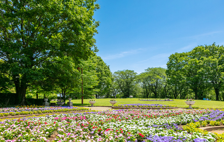 智光山公園の写真