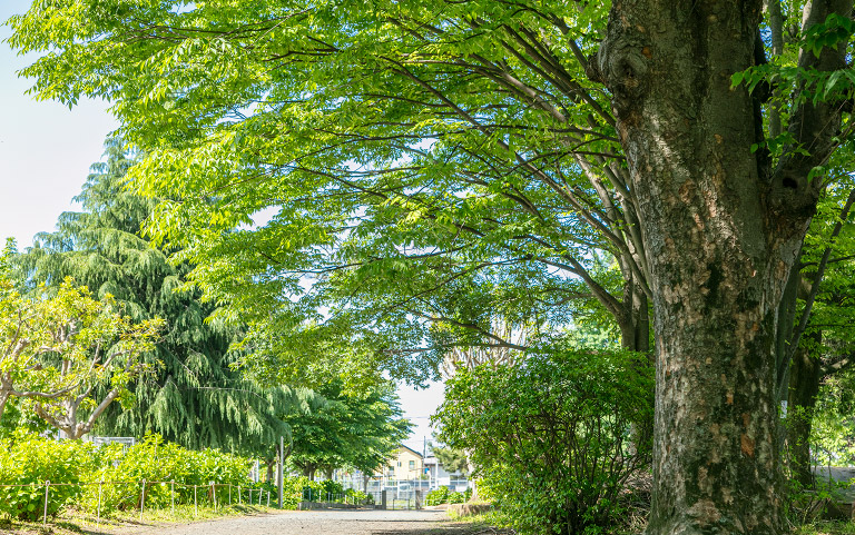 中原公園