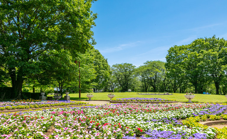 智光山公園