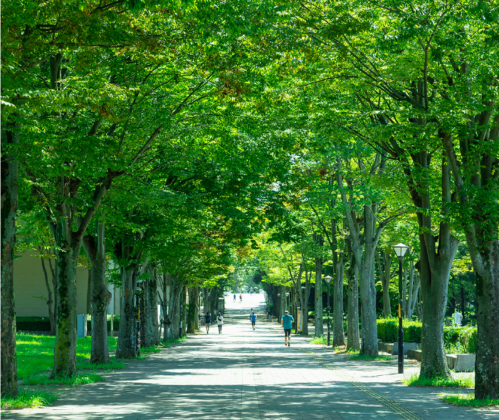 つくば中央公園