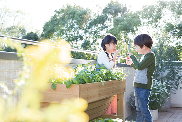 広いバルコニーで子どもと育てる家庭菜園