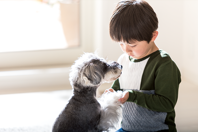 犬と戯れる子ども