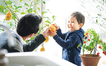 テラスで野菜の収穫をする祖父と孫