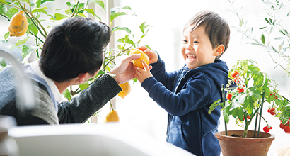 テラスで野菜の収穫をする祖父と孫